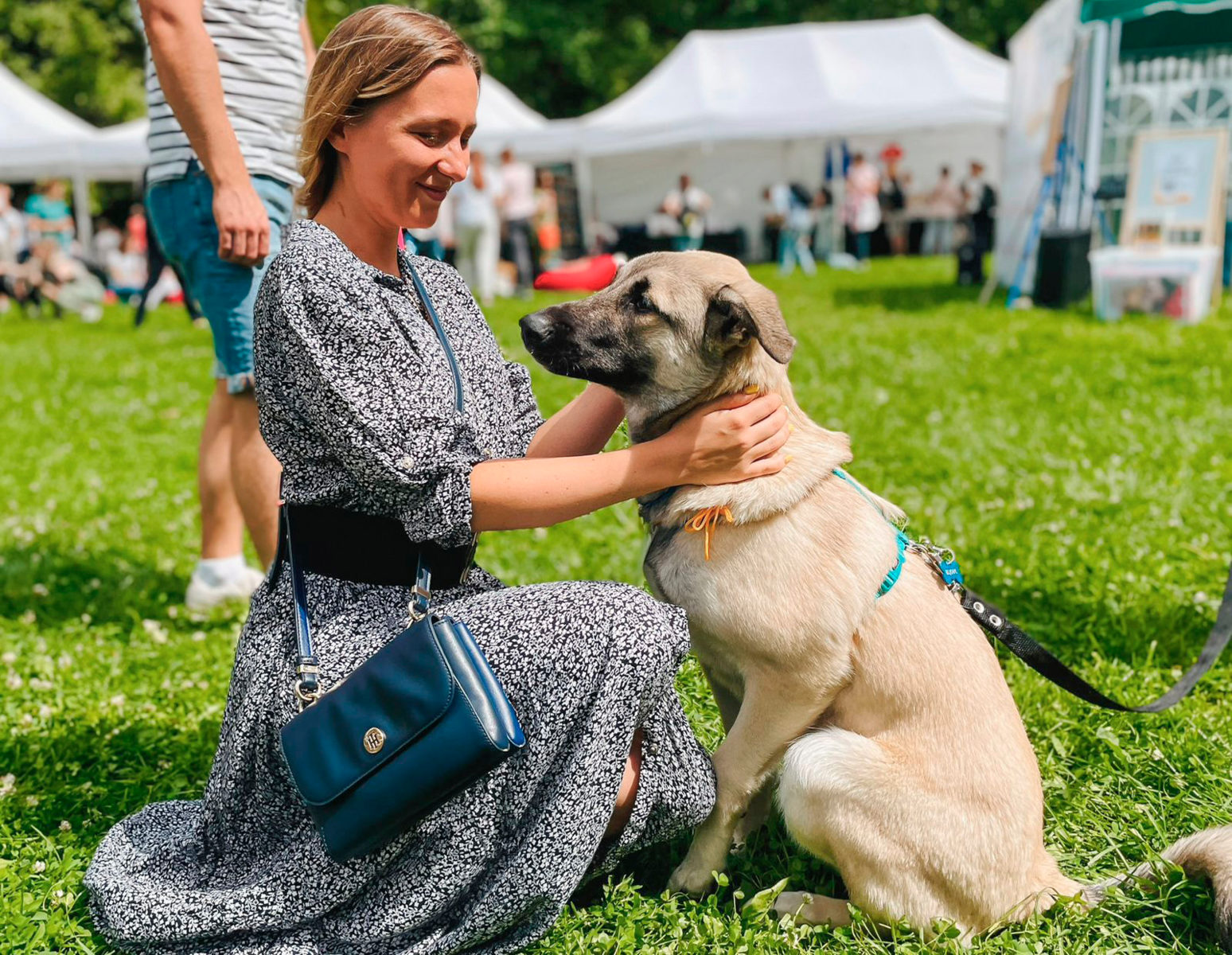 «С собакой — можно!» в Воронцовском парке – события на сайте «Московские Сезоны»