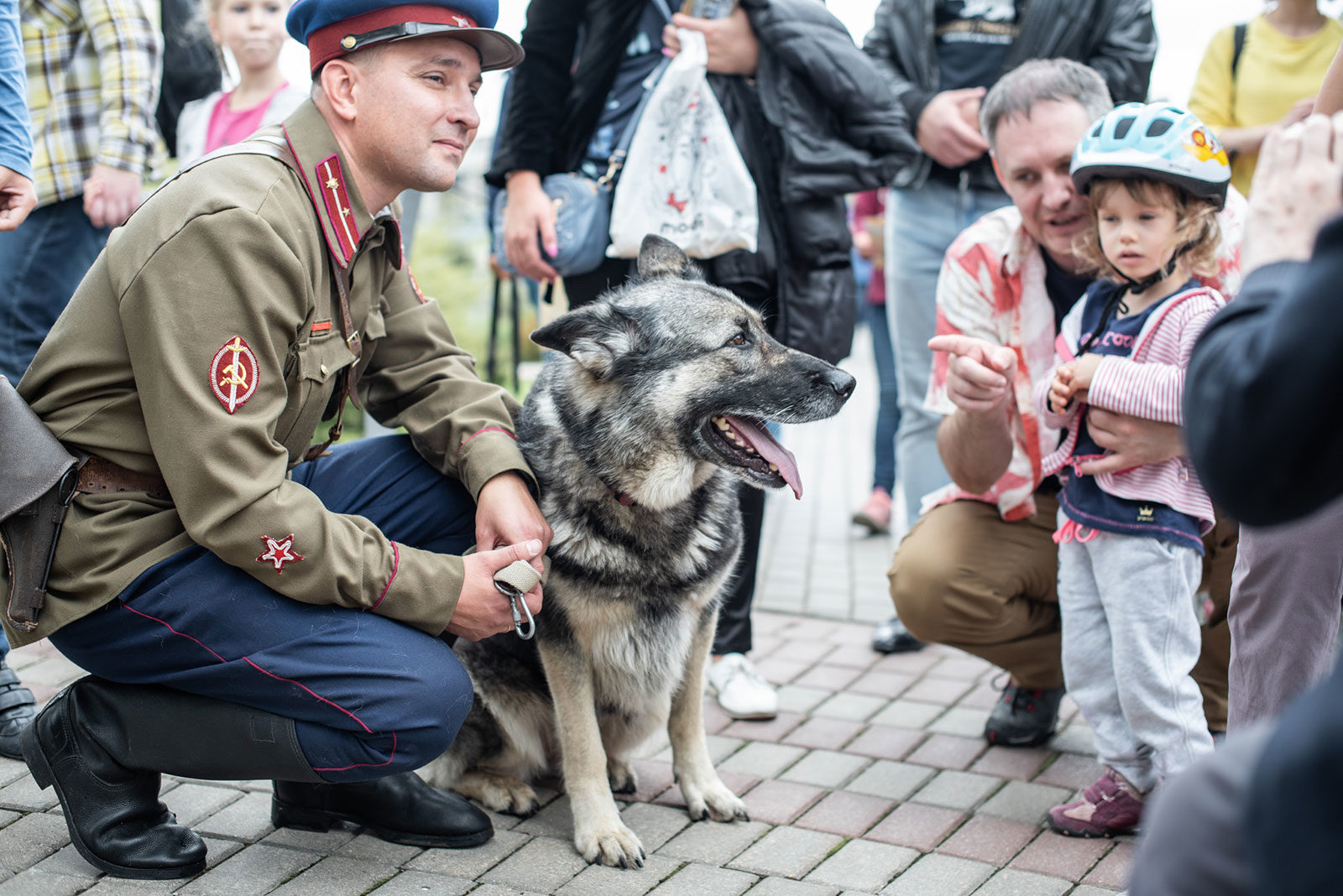 «День фронтовой собаки» в музее «Главные оружейные реликвии армии» – события на сайте «Московские Сезоны»