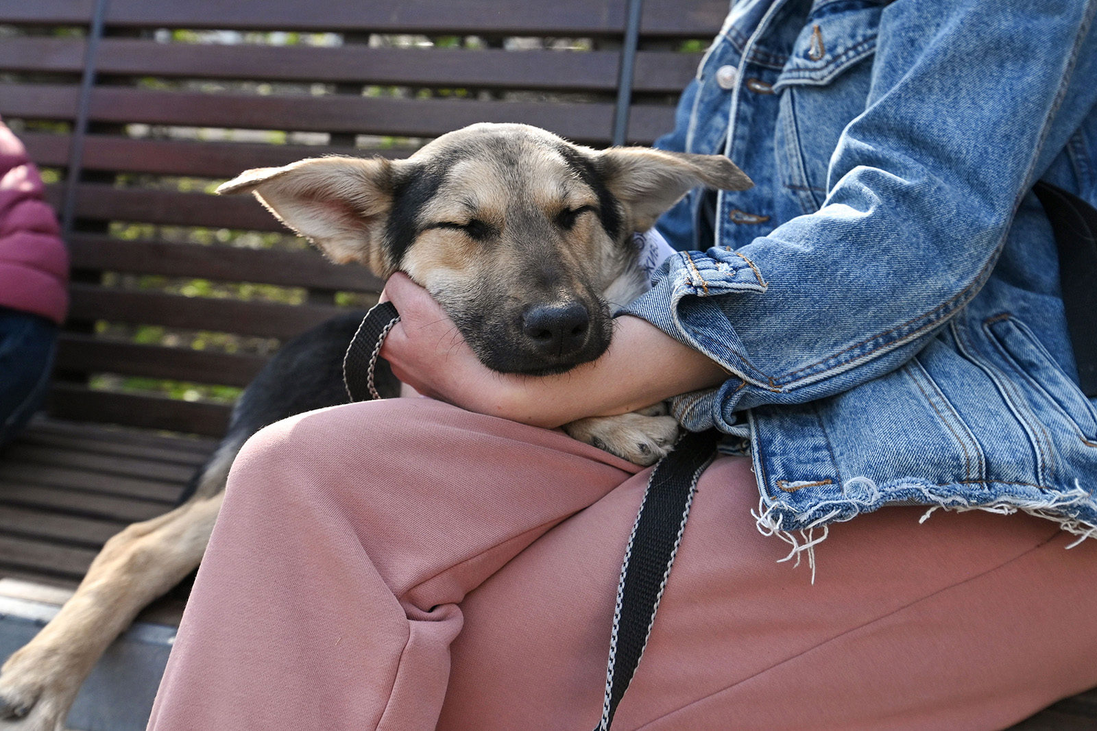 «Одно дыхание у всех» в библиотеке № 189 «Патриот» – события на сайте «Московские Сезоны»