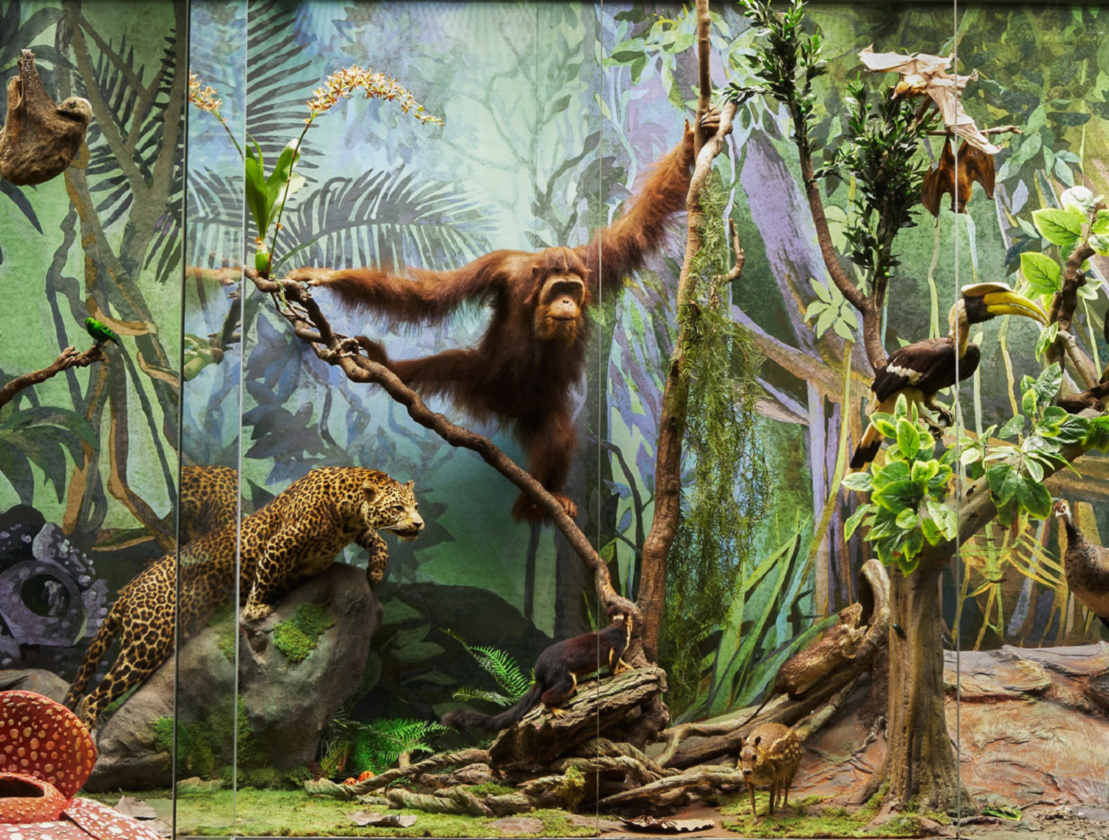 «Сверхспособности» в Дарвиновском музее – события на сайте «Московские Сезоны»