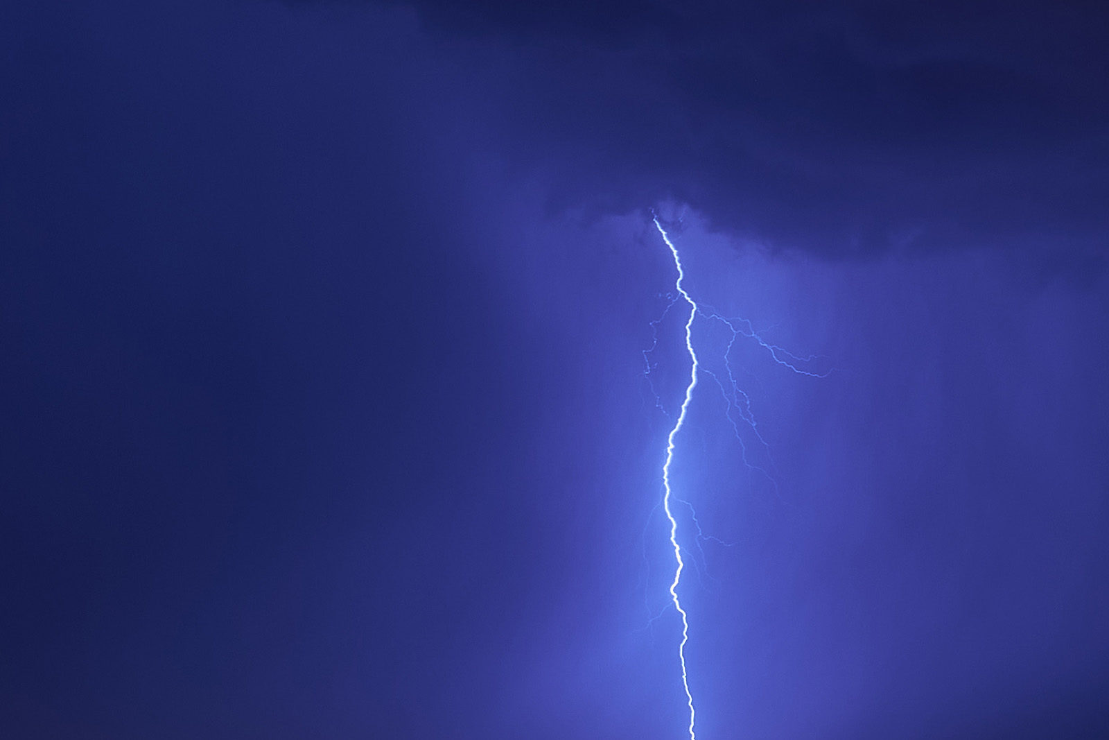 «Тесла-шоу» в культурном центре «Родничок» – события на сайте «Московские Сезоны»