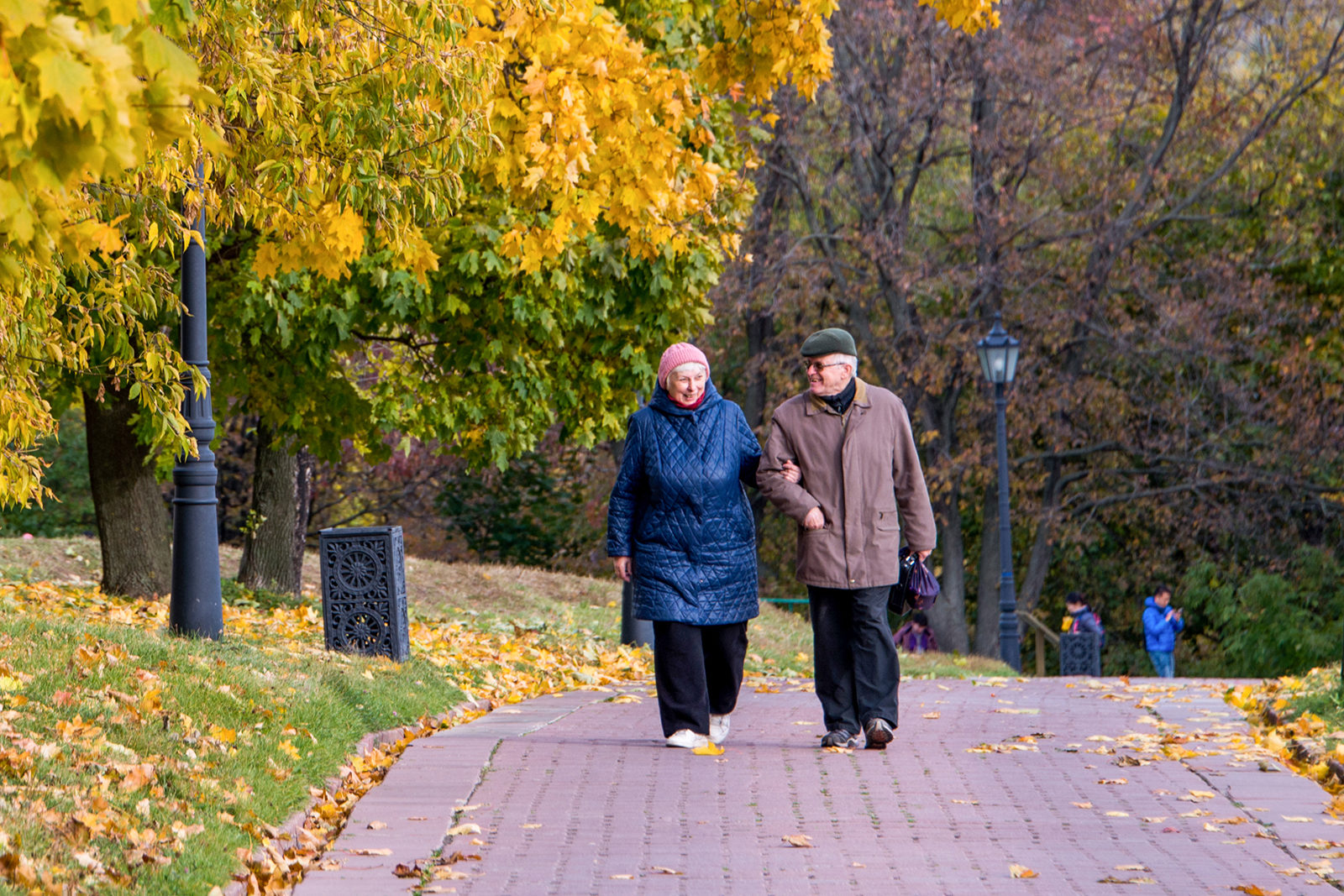 «Любви все возрасты покорны» в библиотеке № 247 – события на сайте «Московские Сезоны»