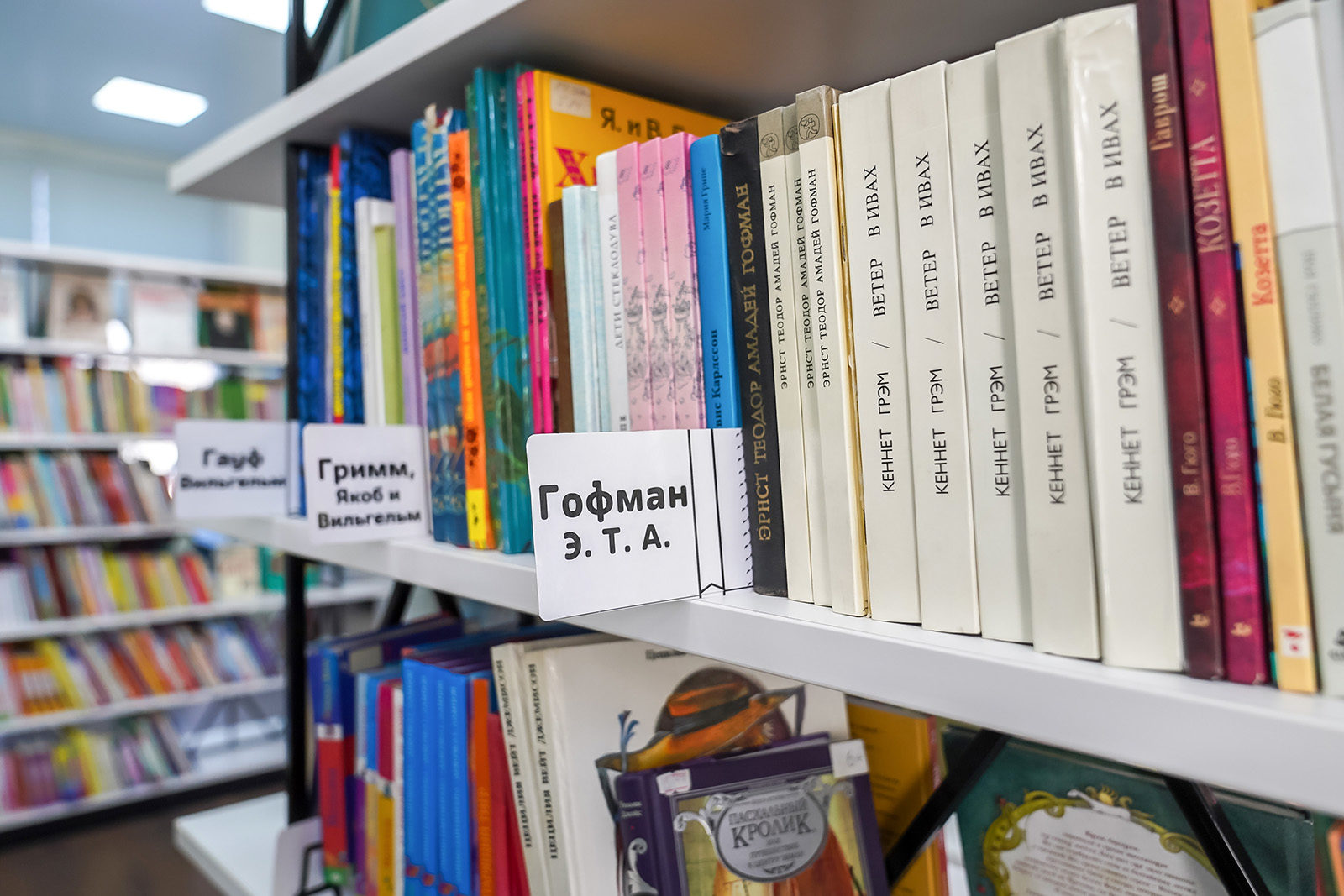 День открытых дверей в детской библиотеке № 242 – события на сайте «Московские Сезоны»