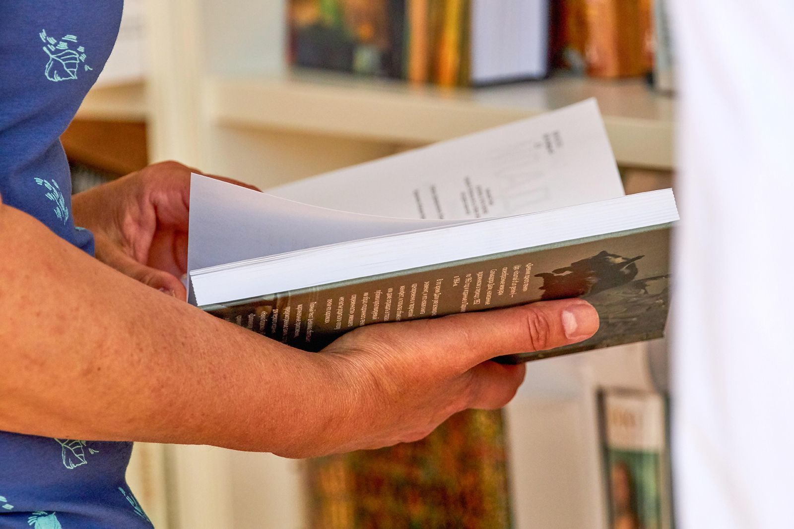 Клуб по формированию культуры чтения «Читалкин» в библиотеке № 252 – события на сайте «Московские Сезоны»