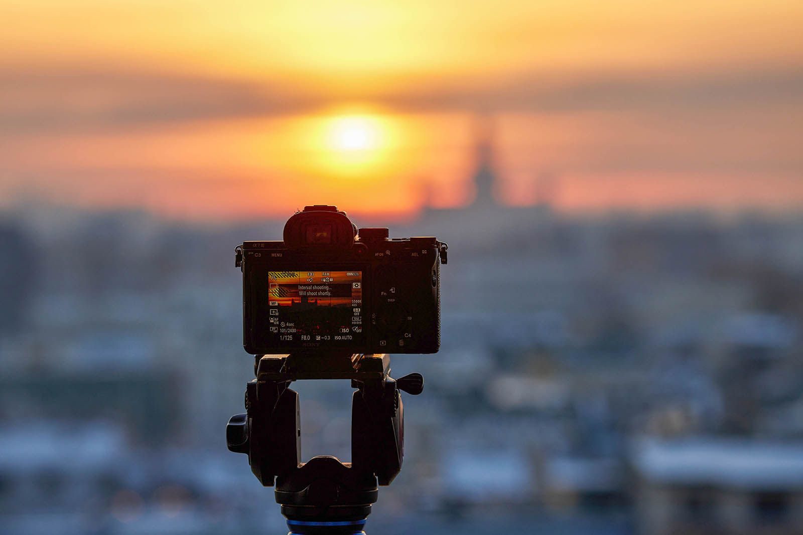 «Портрет в стиле fine art» в детской библиотеке № 91 имени Э.Л. Войнич – события на сайте «Московские Сезоны»