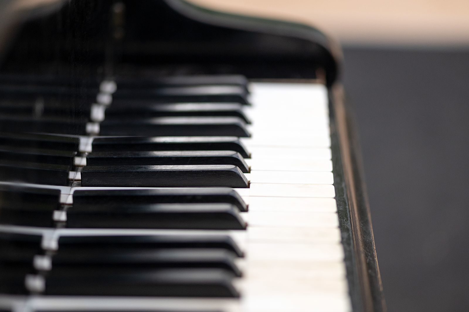 «Вешние воды» в библиотеке искусств имени А.П. Боголюбова – события на сайте «Московские Сезоны»