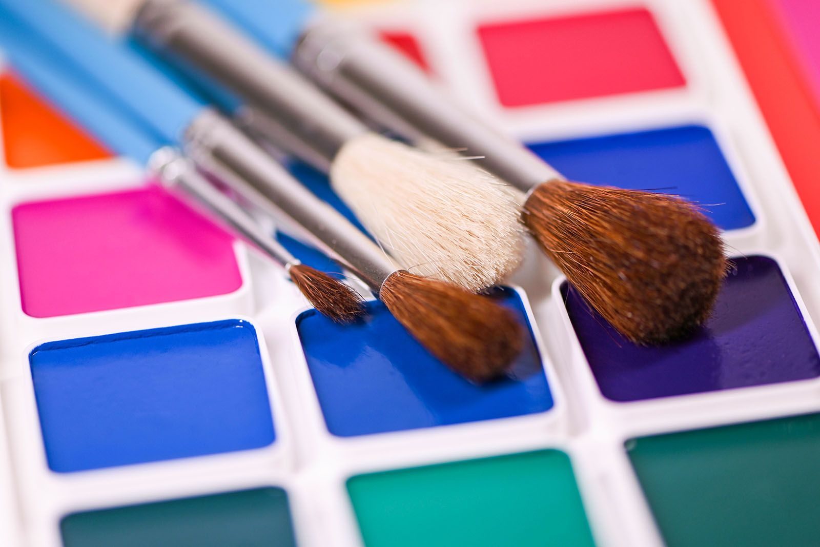 «Разноцветные коты» в библиотеке № 255 – события на сайте «Московские Сезоны»