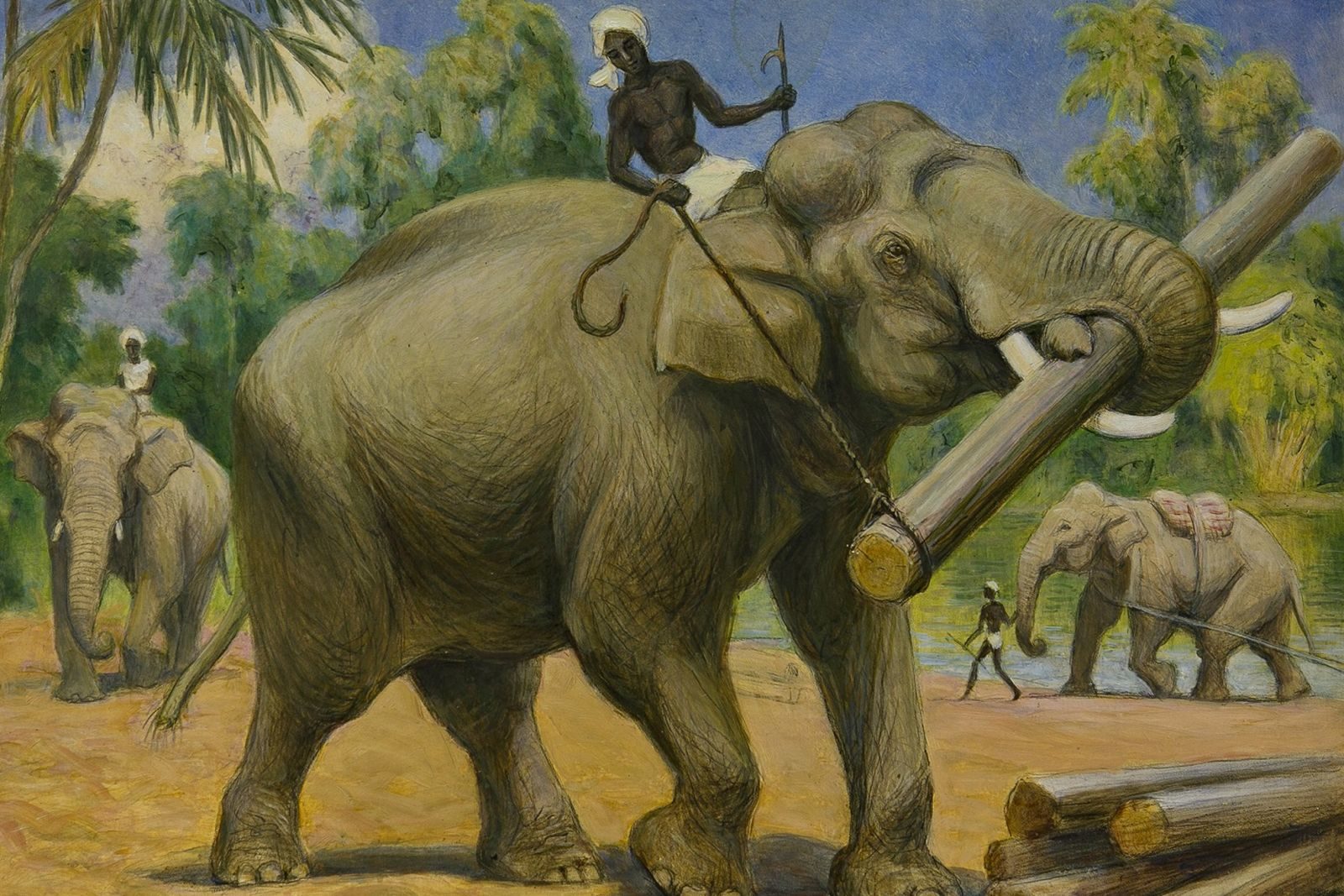 «Путешествие в Индию и на Цейлон» в Дарвиновском музее – события на сайте «Московские Сезоны»