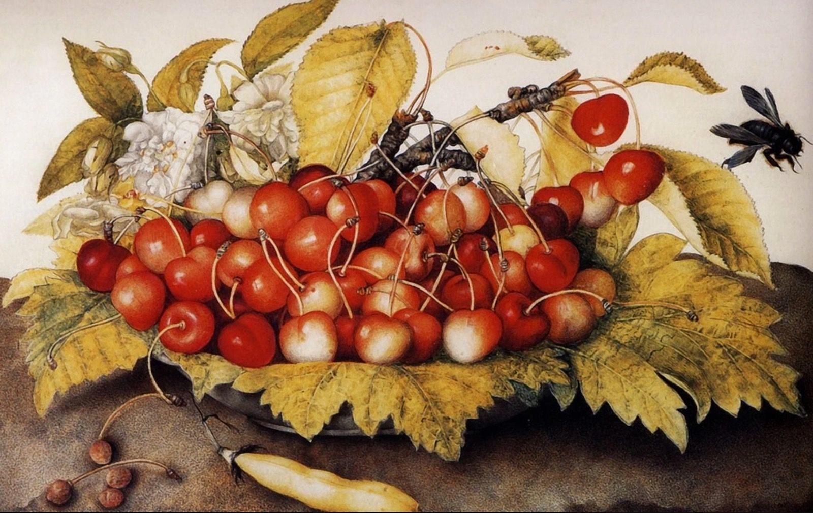 «Итальянский натюрморт» в культурном центре «Новослободский» – события на сайте «Московские Сезоны»