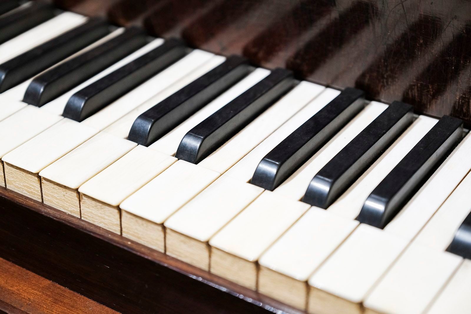 «Музыка в произведениях И.С. Тургенева. И.С. Тургенев в музыке» в культурном центре имени В.Я. Вульфа – события на сайте «Московские Сезоны»