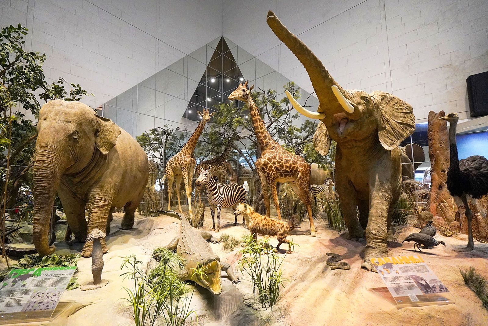 «Ночь искусств» в Дарвиновском музее – события на сайте «Московские Сезоны»