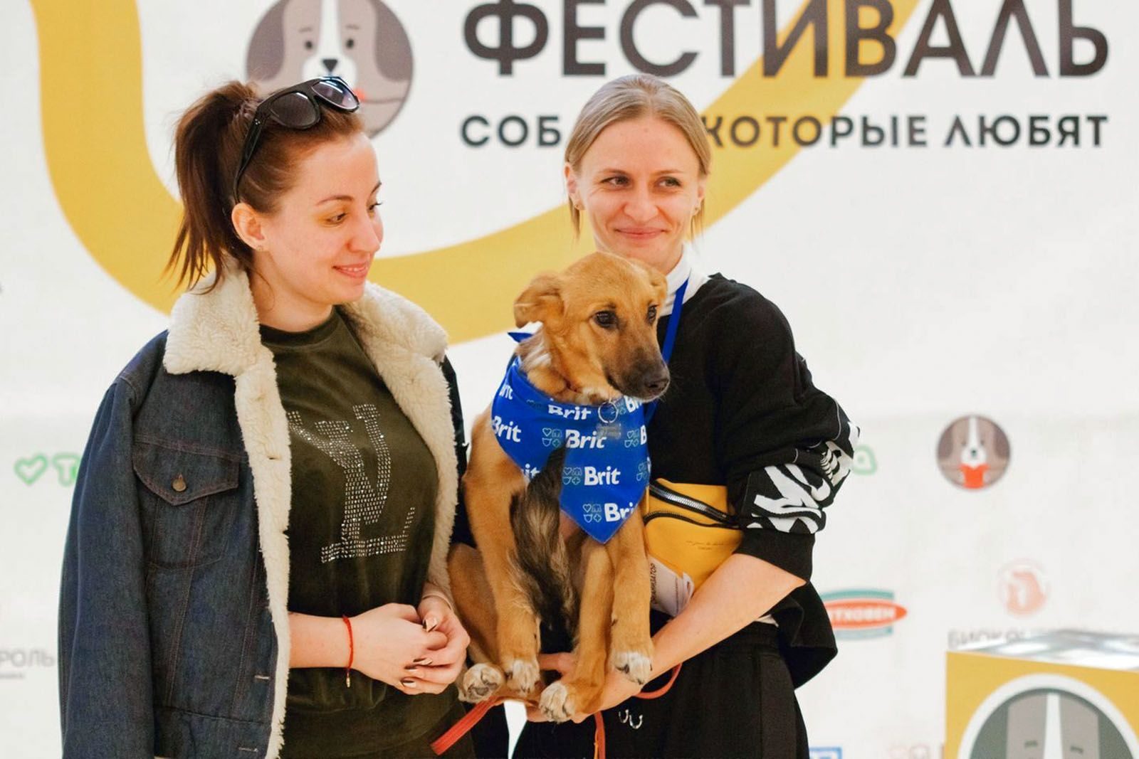 «Собаки, которые любят (и котики!)» в центре городской культуры «Графит» – события на сайте «Московские Сезоны»