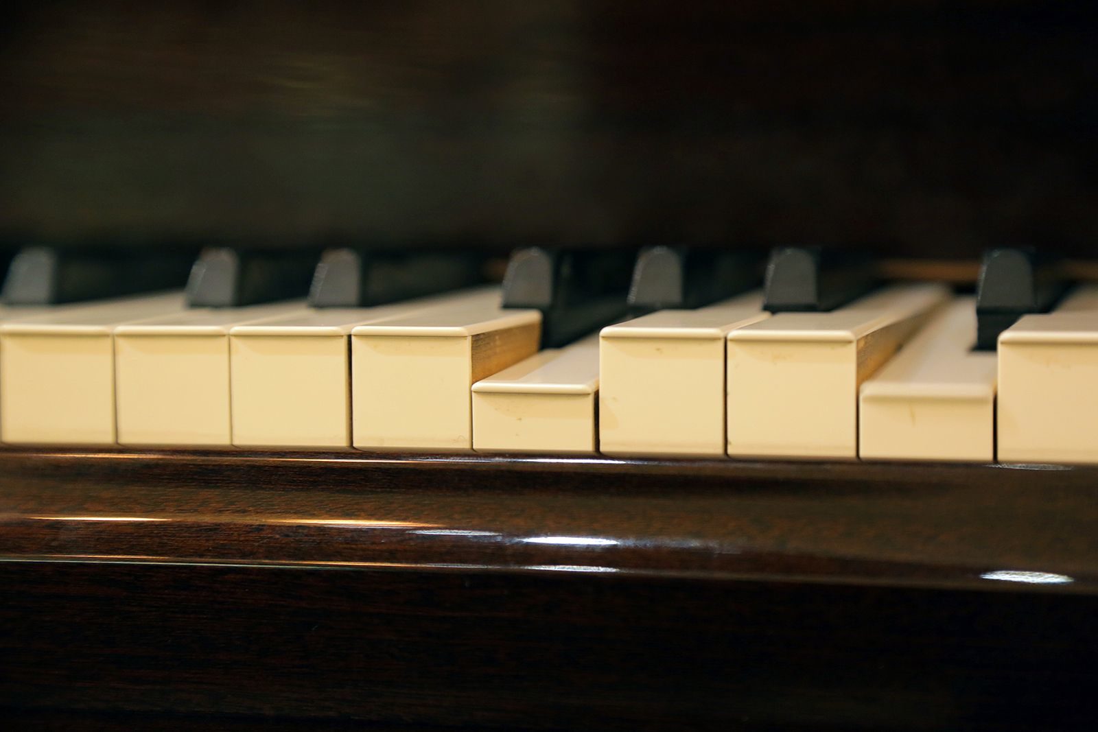 «Жемчужины Средиземноморья» в «Музыкальной квартире на Тверской» – события на сайте «Московские Сезоны»