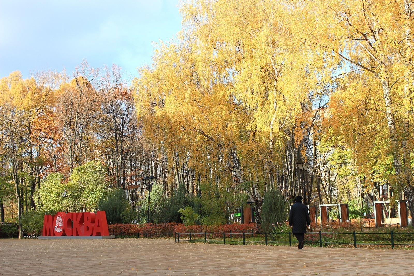 «ЗОЖ-маршрут» в Бабушкинском парке – события на сайте «Московские Сезоны»