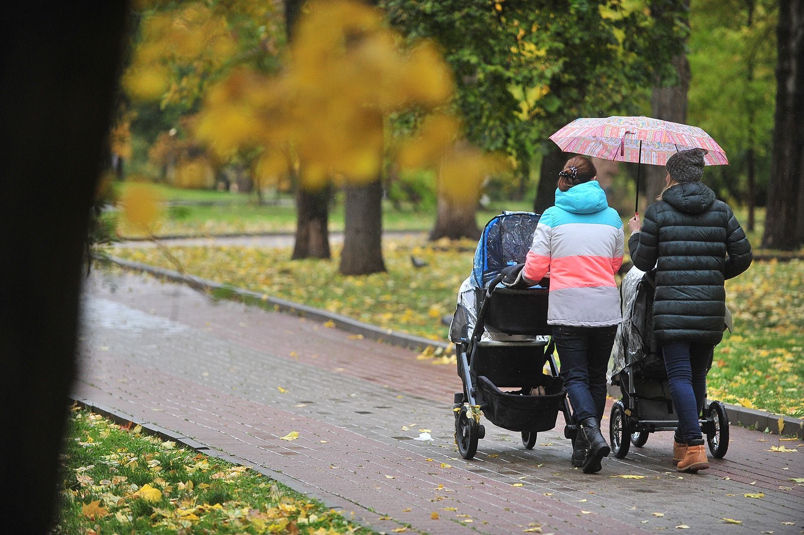 «Нашим мамам посвящаем» в парке «Северное Тушино» – события на сайте «Московские Сезоны»
