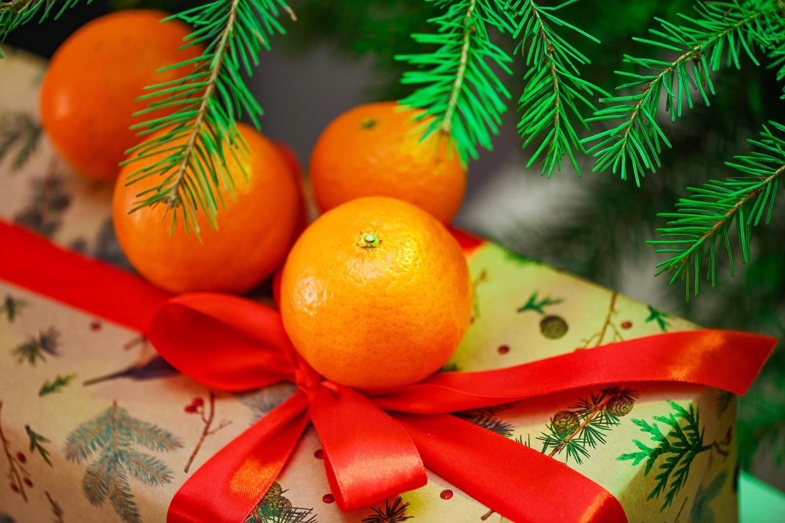 «Сладости для новогодней радости» в Центральной городской деловой библиотеке – события на сайте «Московские Сезоны»