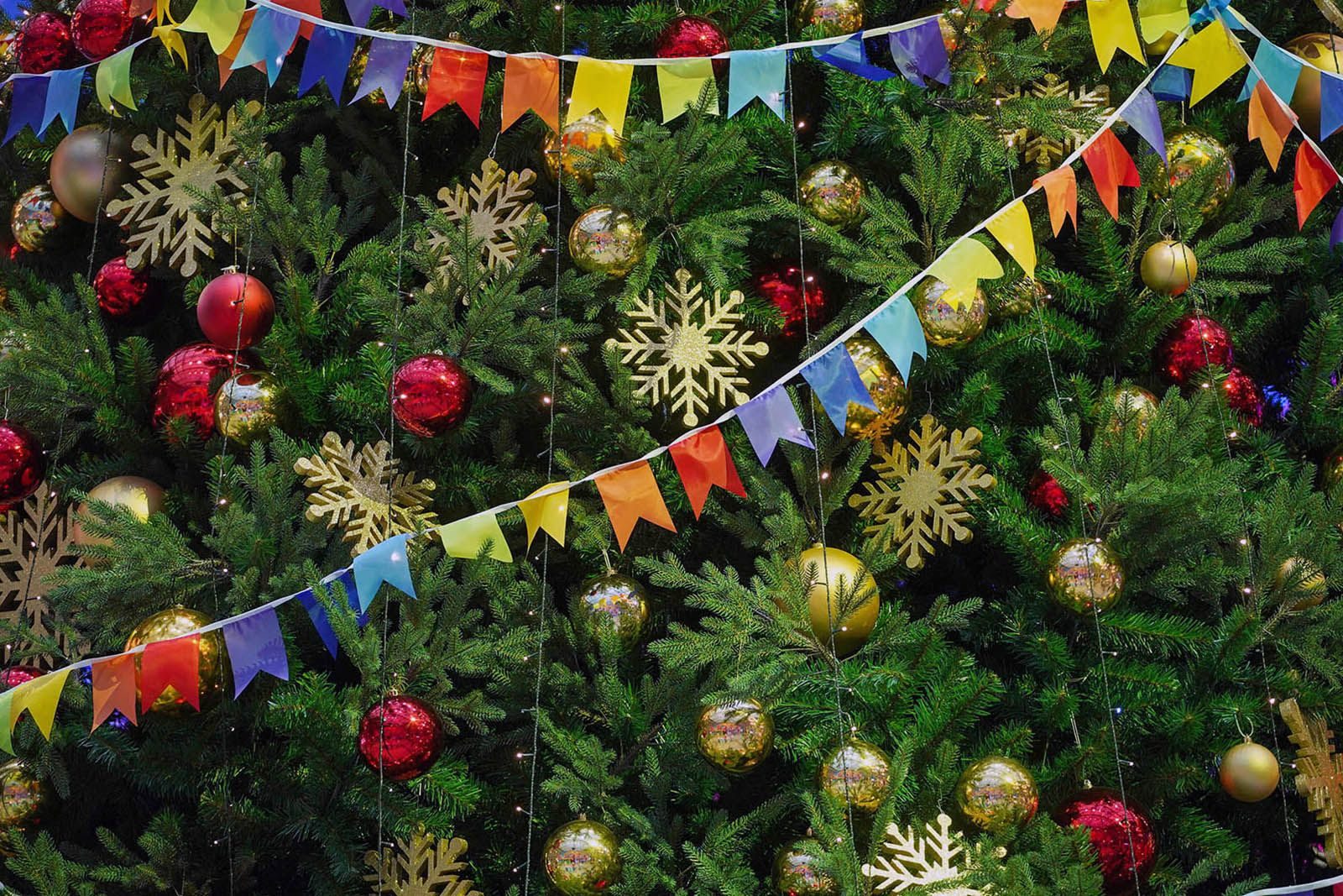 «На старт, внимание, в Новый год!» в библиотеке № 245 – события на сайте «Московские Сезоны»