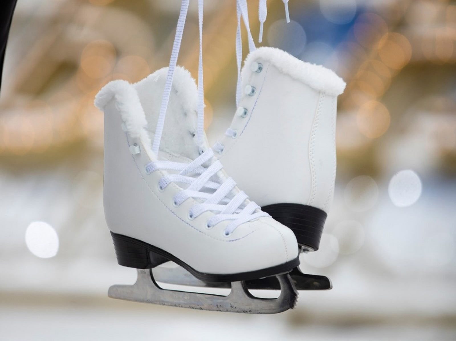 Каток в музее-заповеднике «Царицыно» – события на сайте «Московские Сезоны»