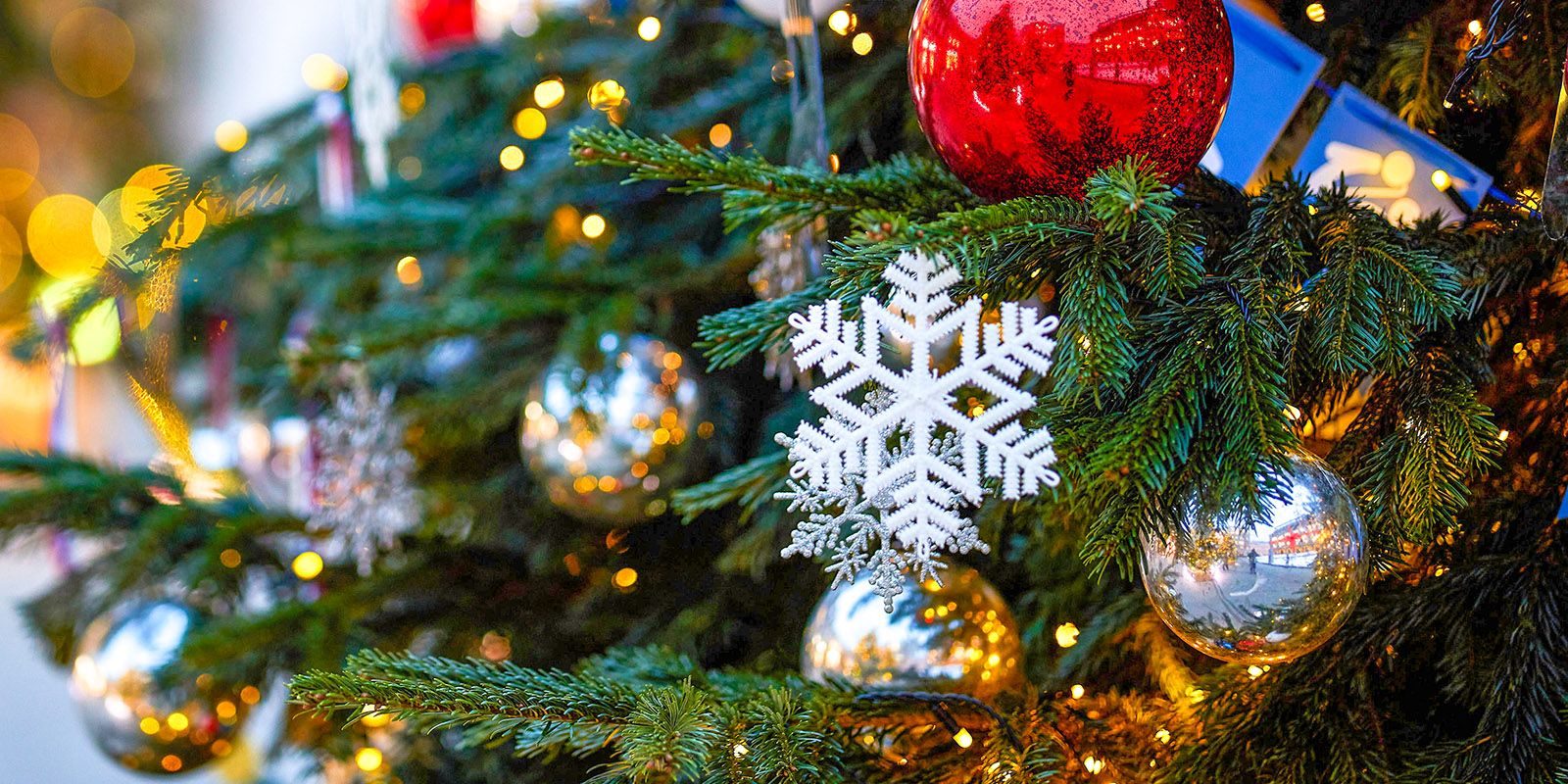 «Здравствуй, зимушка-зима» в библиотеке № 238 – события на сайте «Московские Сезоны»