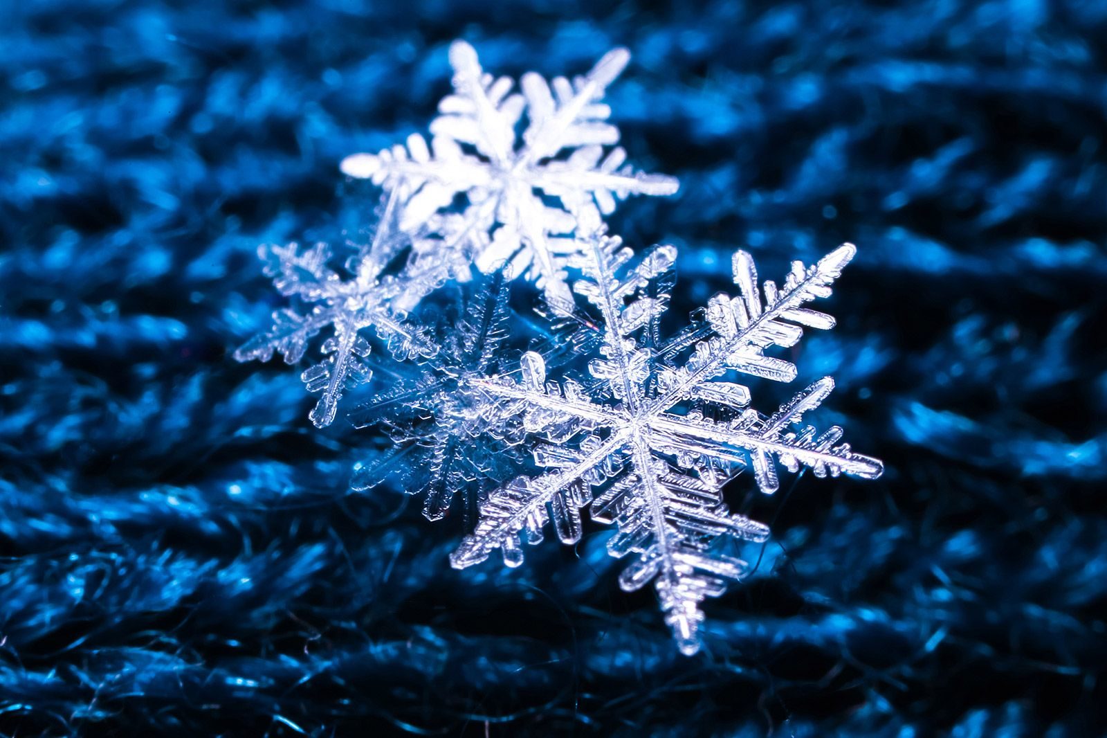 «Хиты зимы: поем все вместе» в Доме культуры «Смена» – события на сайте «Московские Сезоны»