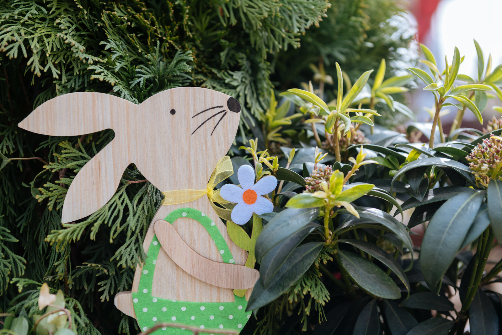 Ботанические классы, театры и открытые уроки на офире в Щукино – события на сайте «Московские Сезоны»