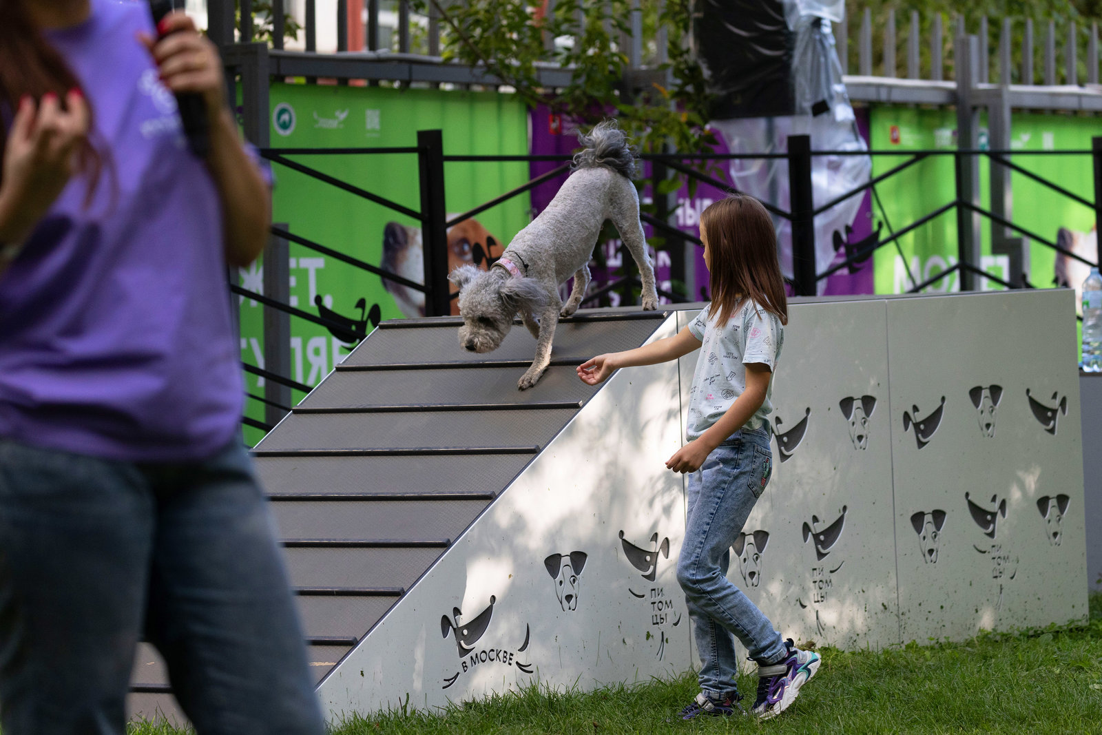 Показательные выступления собак – события на сайте «Московские Сезоны»