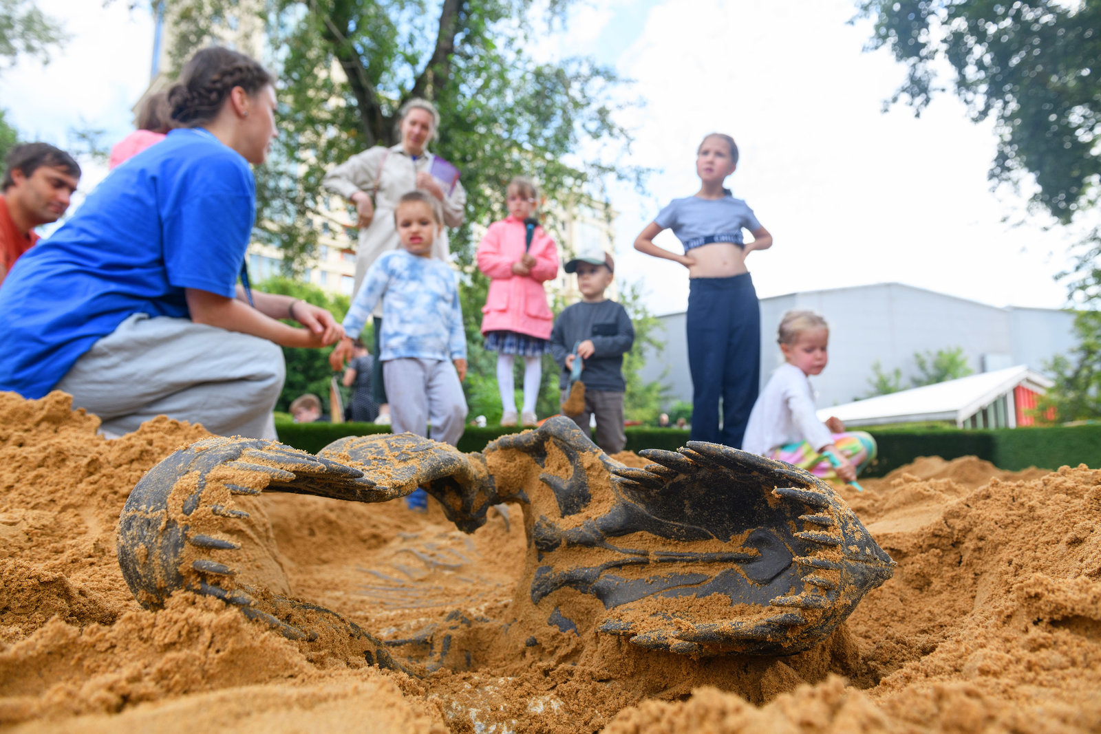 Мастер-классы «Палеонтология» – события на сайте «Московские Сезоны»