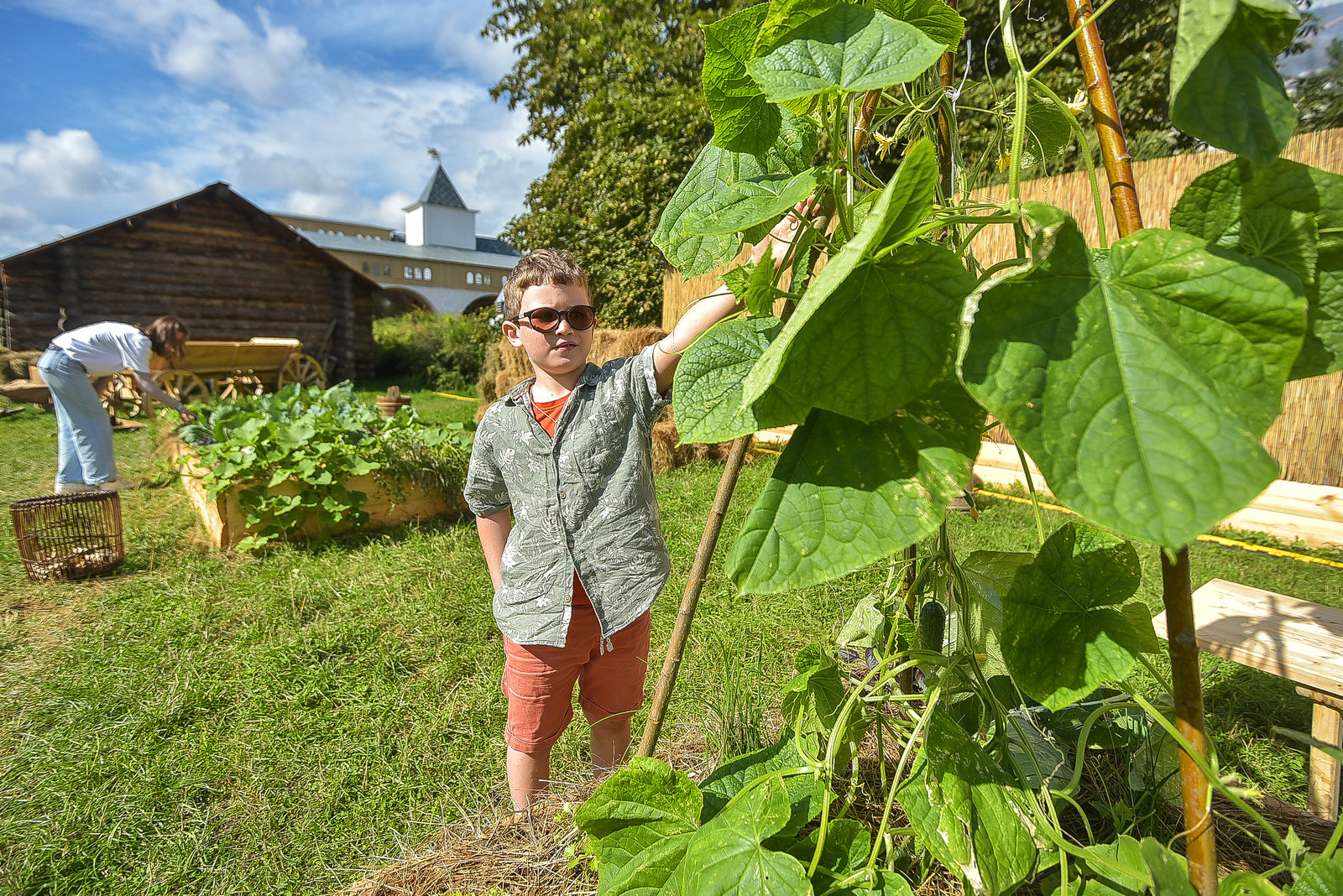 Реконструкция «Аптекарское дело» – события на сайте «Московские Сезоны»