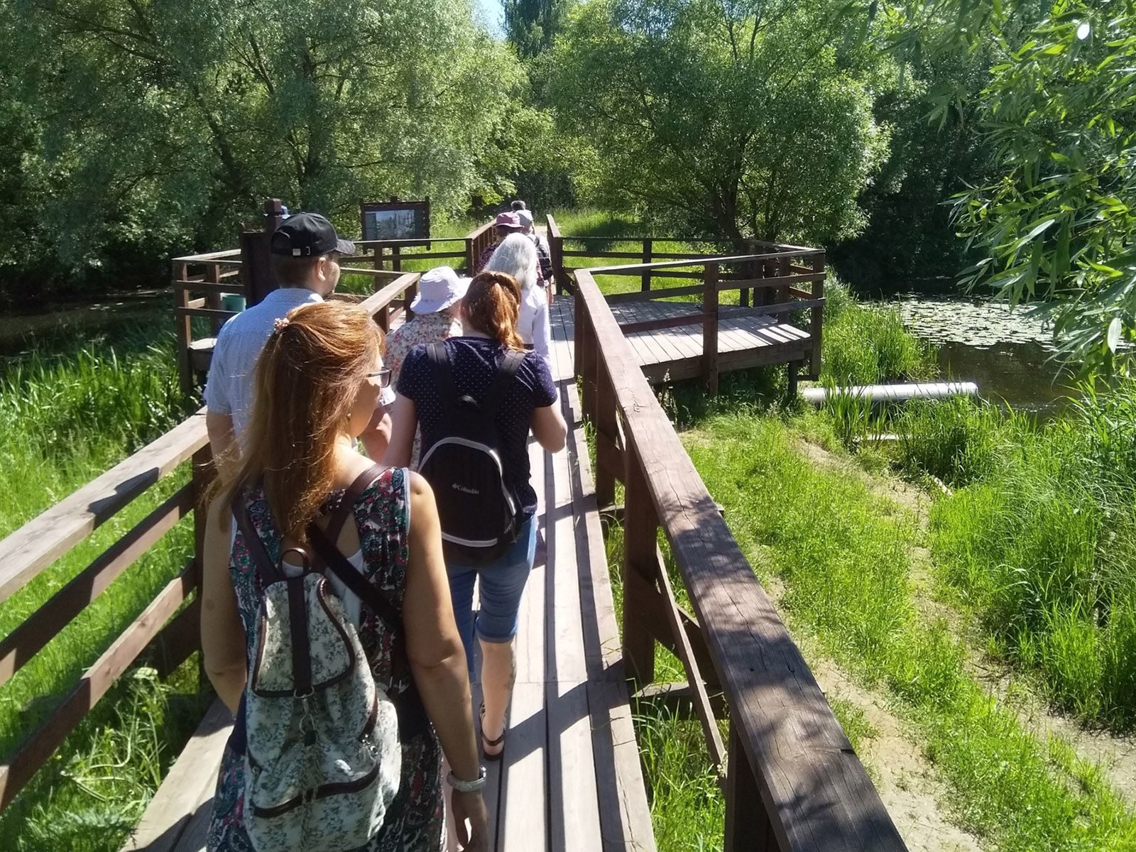 Пешеходная экскурсия «Экосистема Серебряного Бора» – события на сайте «Московские Сезоны»