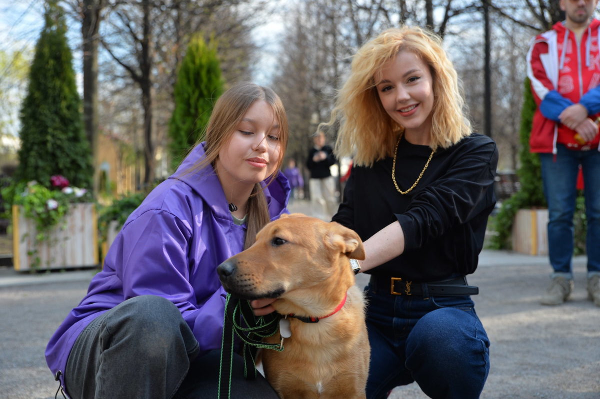  Пасхальный дар