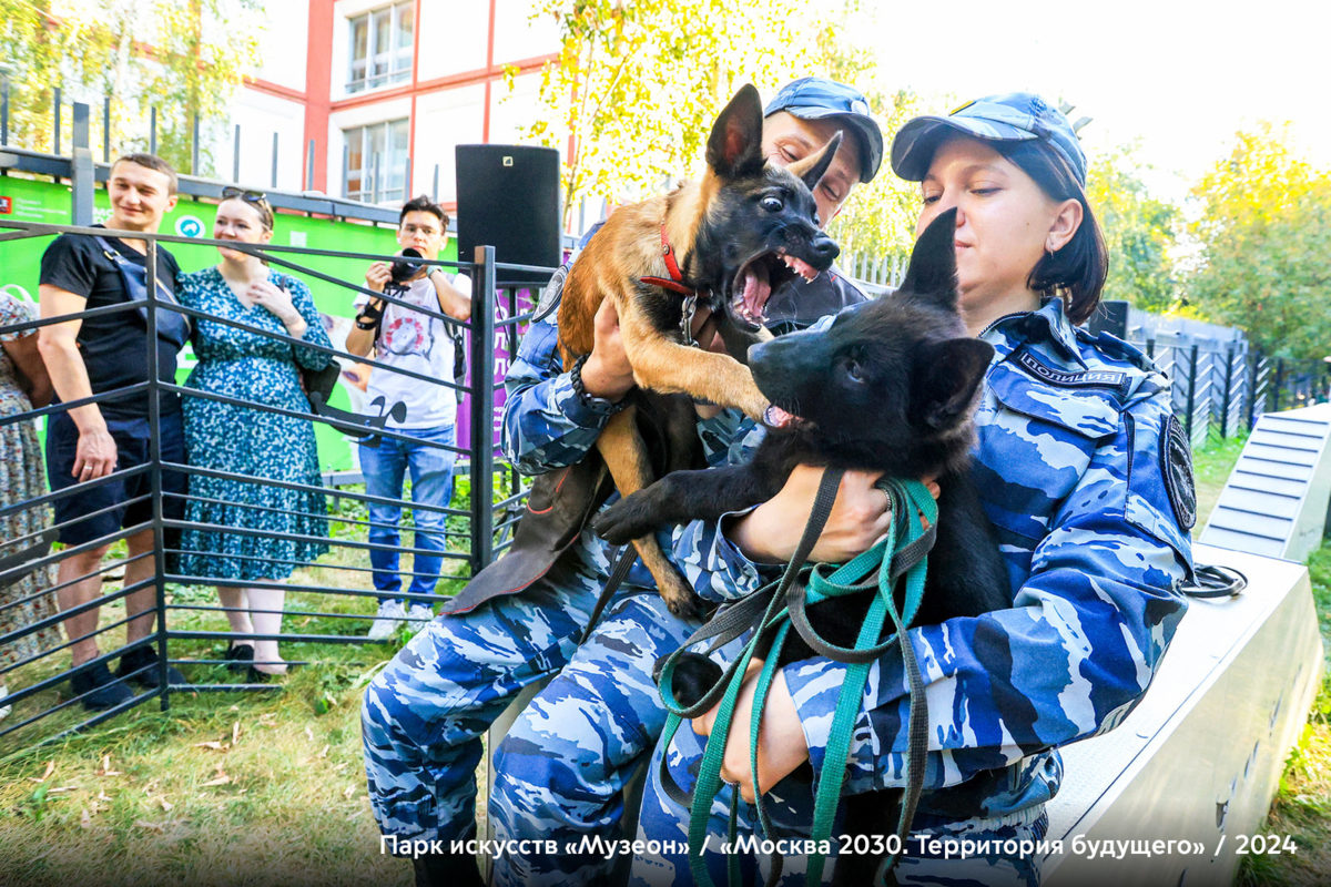 Фестивали в Москве